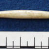 Bone pin, Sutton Courtenay