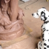 Dog intensely surveying the clay pig in the studio