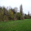 Wallingford town defences