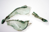 Broken Anglo-Saxon glass beaker